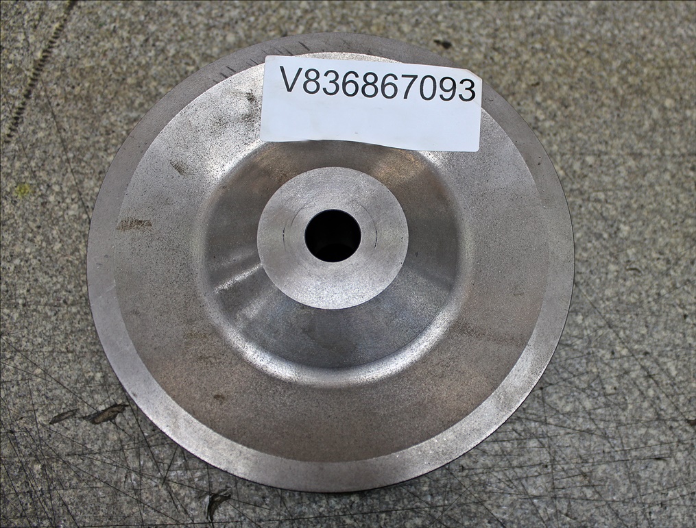 Valtra Riemenscheibe V836867093